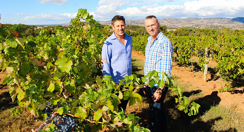 Purple Hands Wines | Halliday Wine Companion